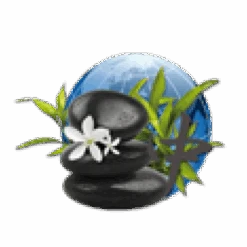 Parfum De Spa à Base D'huiles Essentielles Orient 250 Ml -Spa Relaxation Promos Magasin parfum spa huiles essentielles orient camylle 250 ml 2